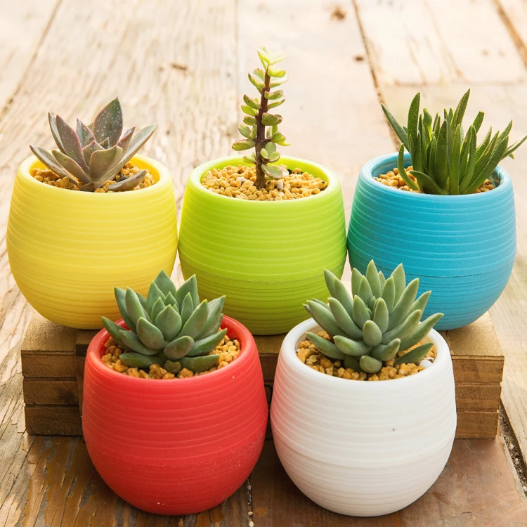 Flower pot Mini Pot Unbreakable Plastic Nursery Pots For Succulent Plants Garden Supplies Stone Pill 1Pc | Дом и сад