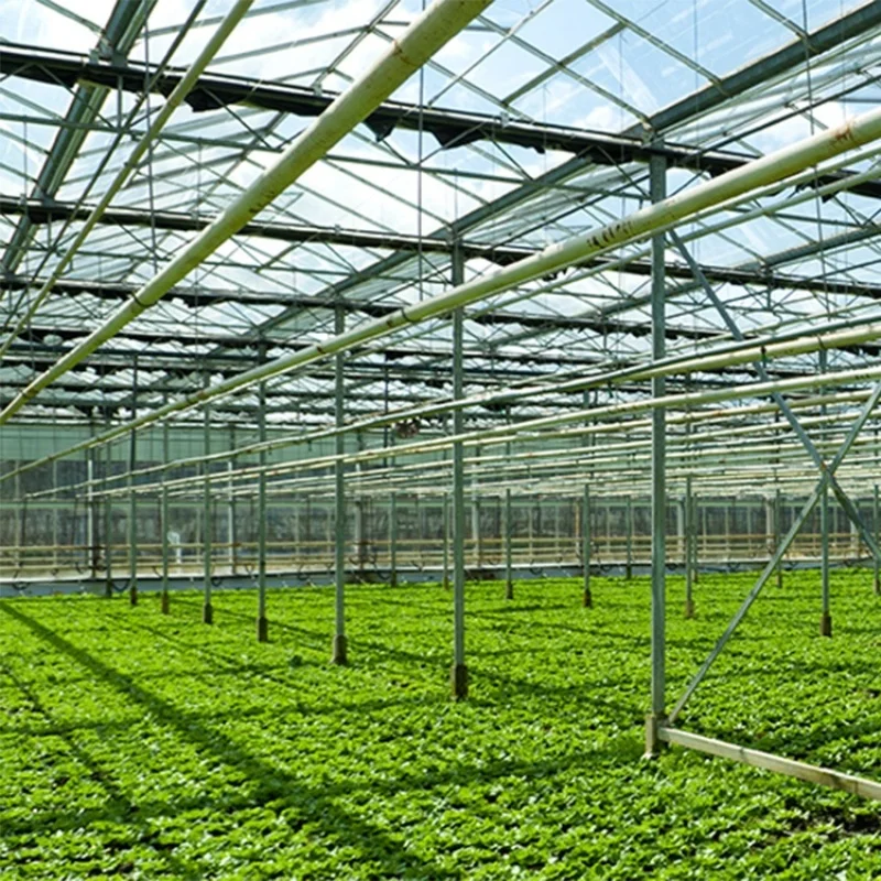 Рисунок 2 - 8 м * 30 м-большие коммерческие