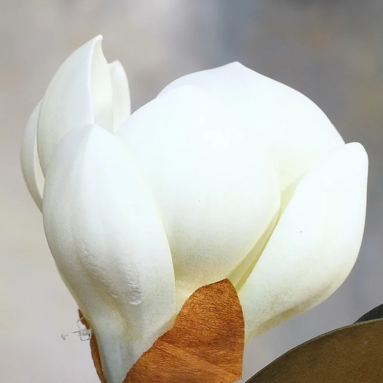 Искусственный цветок из ЭВА магнолия украшение для домашнего