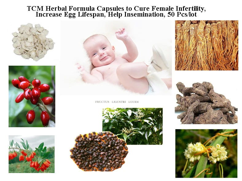 Формула для беременных женщин стимулирует овуляцию продлевает срок службы яиц