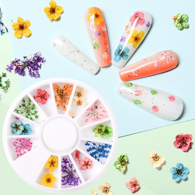 12 Colors Dried Flower for Nail Art Decorations Natural Real Flowers Dry Stick UV Gel Acrylic Tips Wheel | Красота и здоровье