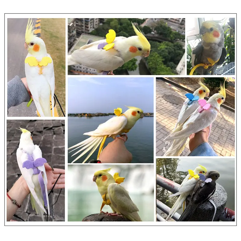 Легкая веревка для попугаев летающий сверхсветильник канат пионы кокатиль