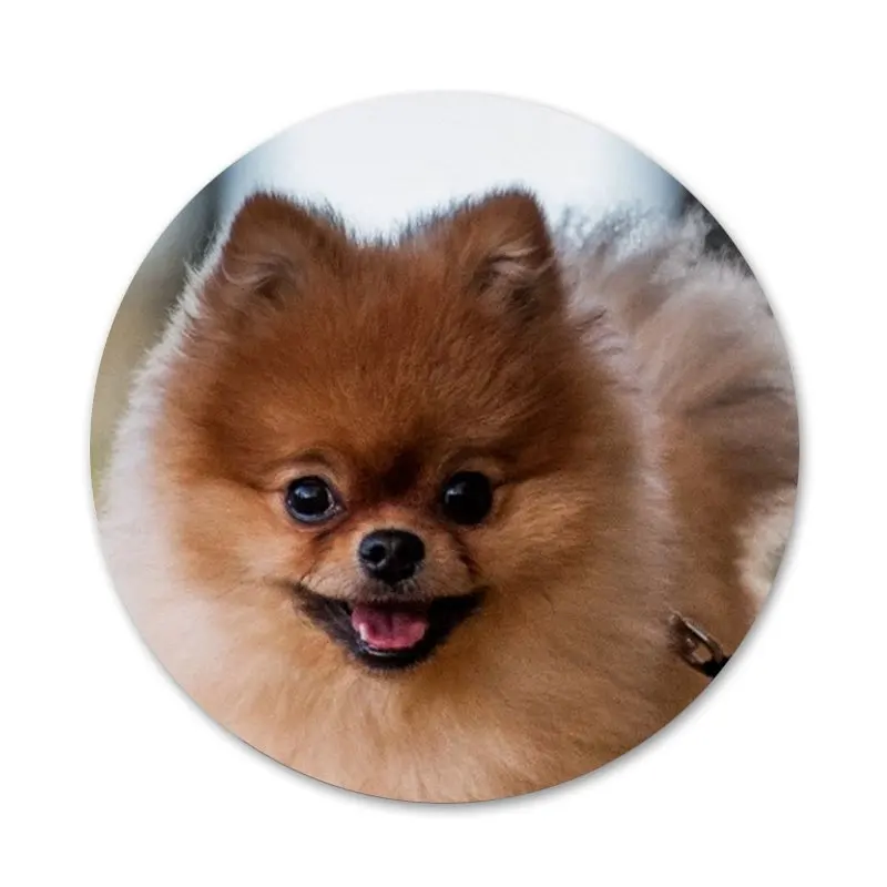 Своего померанского шпица собаки значок с собакой брошь заколка аксессуары для