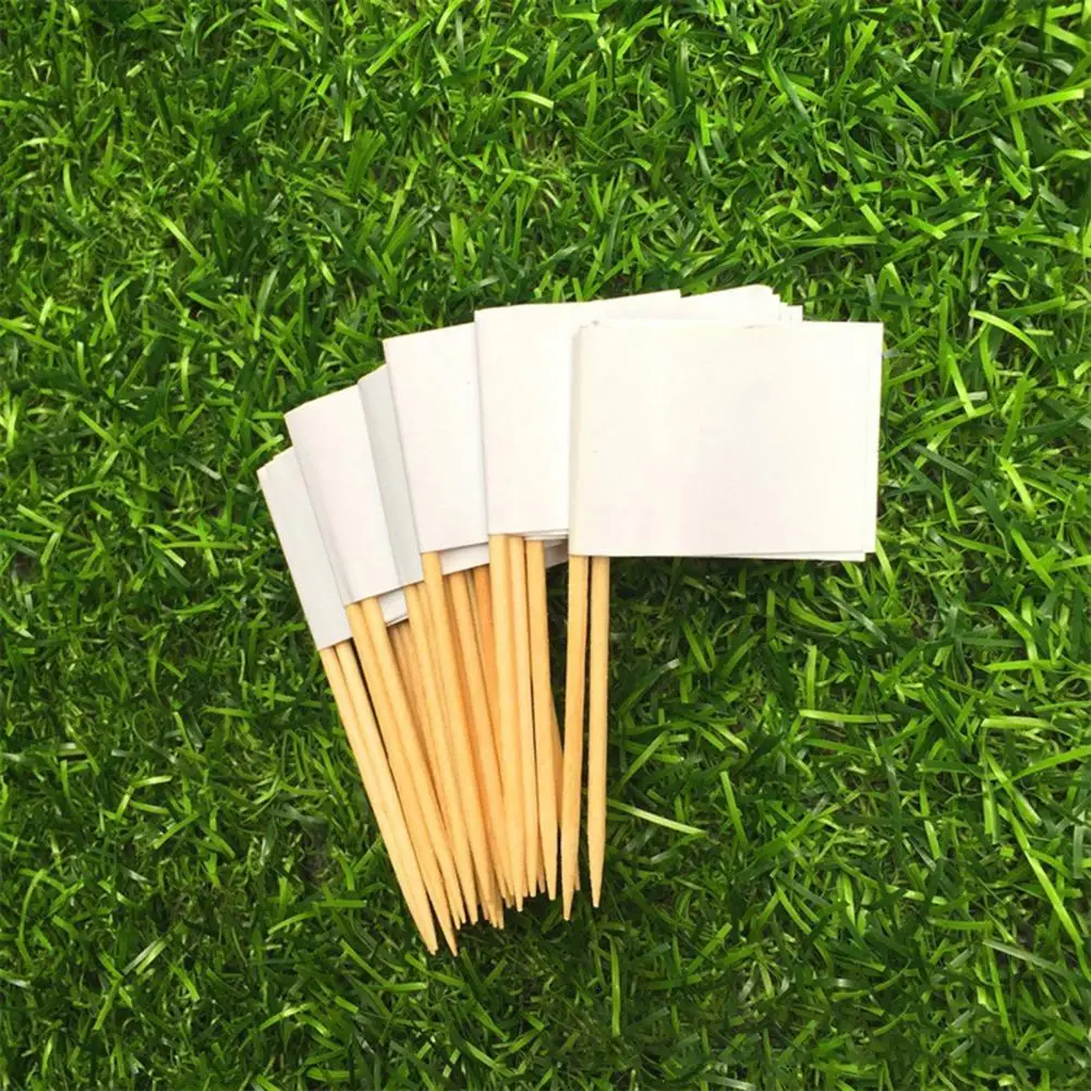 

Eye-catching Wide Application Food Labels Flags with Wooden Sticks for Salad