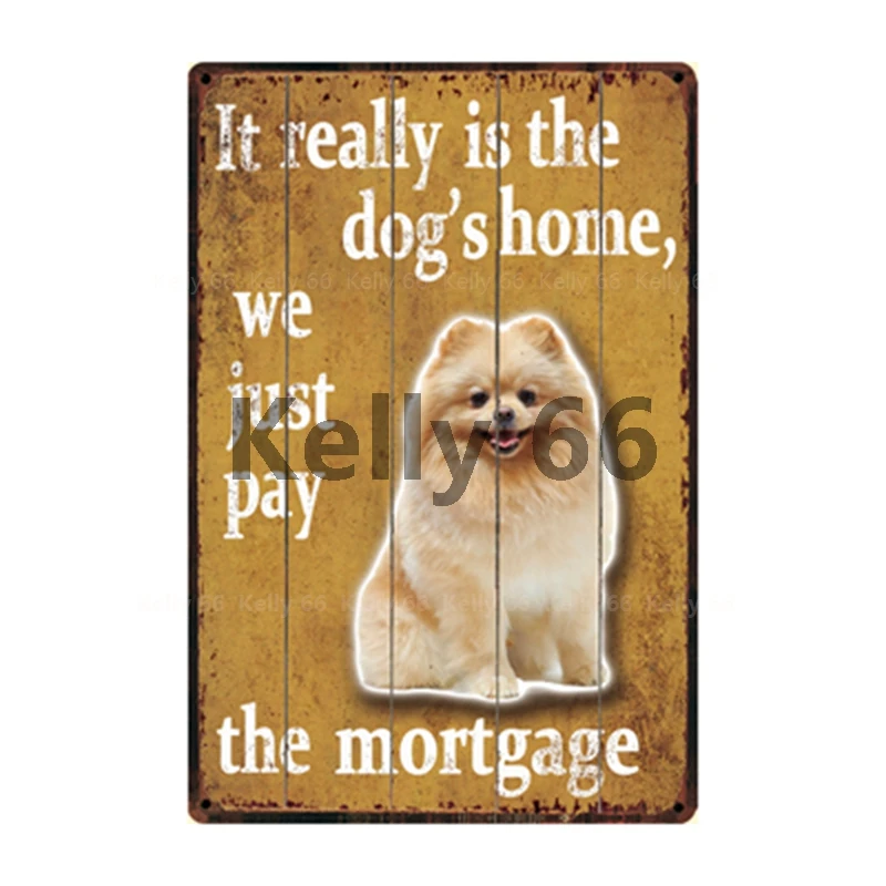 [Kelly66] это действительно домашний Мопс собаки померанский самоид металлический