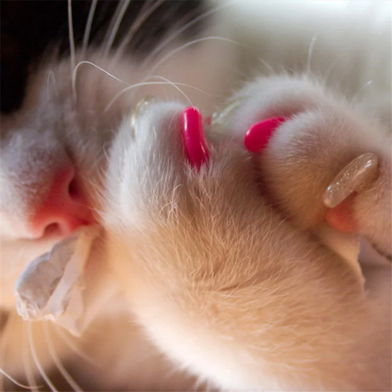 20 шт. колпачки для собак и кошек из мягкого силикона защиты от царапин лап товары