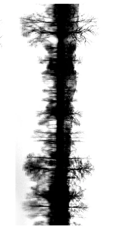 11x16 зеркальные леса прозрачные силиконовые печати для скрапбукинга фотоальбома |