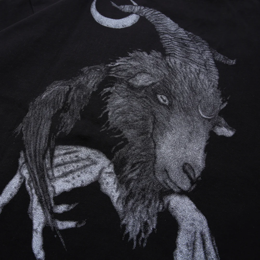 

Aolamegs Gothic Animal Punk Letter Print Oversized T-shirt Men Casual O-Neck Tops Tee Summer High Street Hipster Cool Streetwear