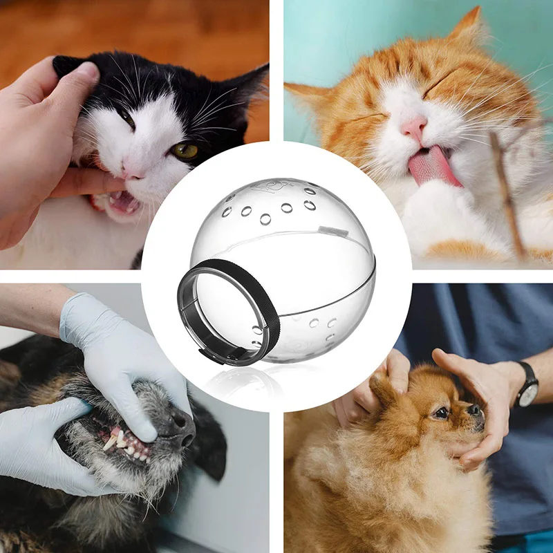 Accesorios de aseo para gatos, mascarilla antimordedura, capucha espacial antilamer para evitar morder y masticar, cuidado de mascotas-4