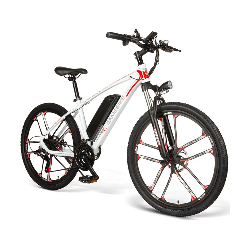 

26 Inch 350W Electric Mountain Bike Ebike with Poland,Germany,USA, Warehouse Stocks