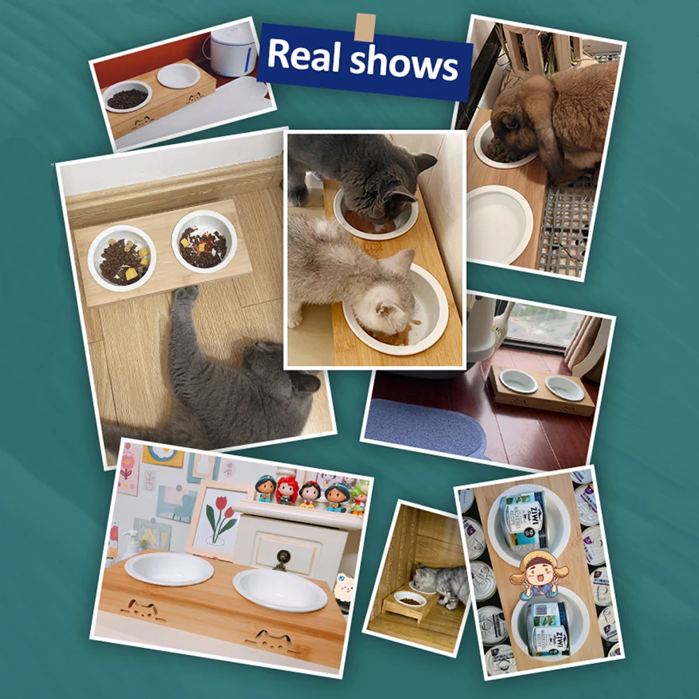 

Cat Bowl Ceramic Double Bowl Food Bowl Bamboo Rack 15 Degrees Tilt Cat Food Water Feeder Protect The Cat's Cervical Spine