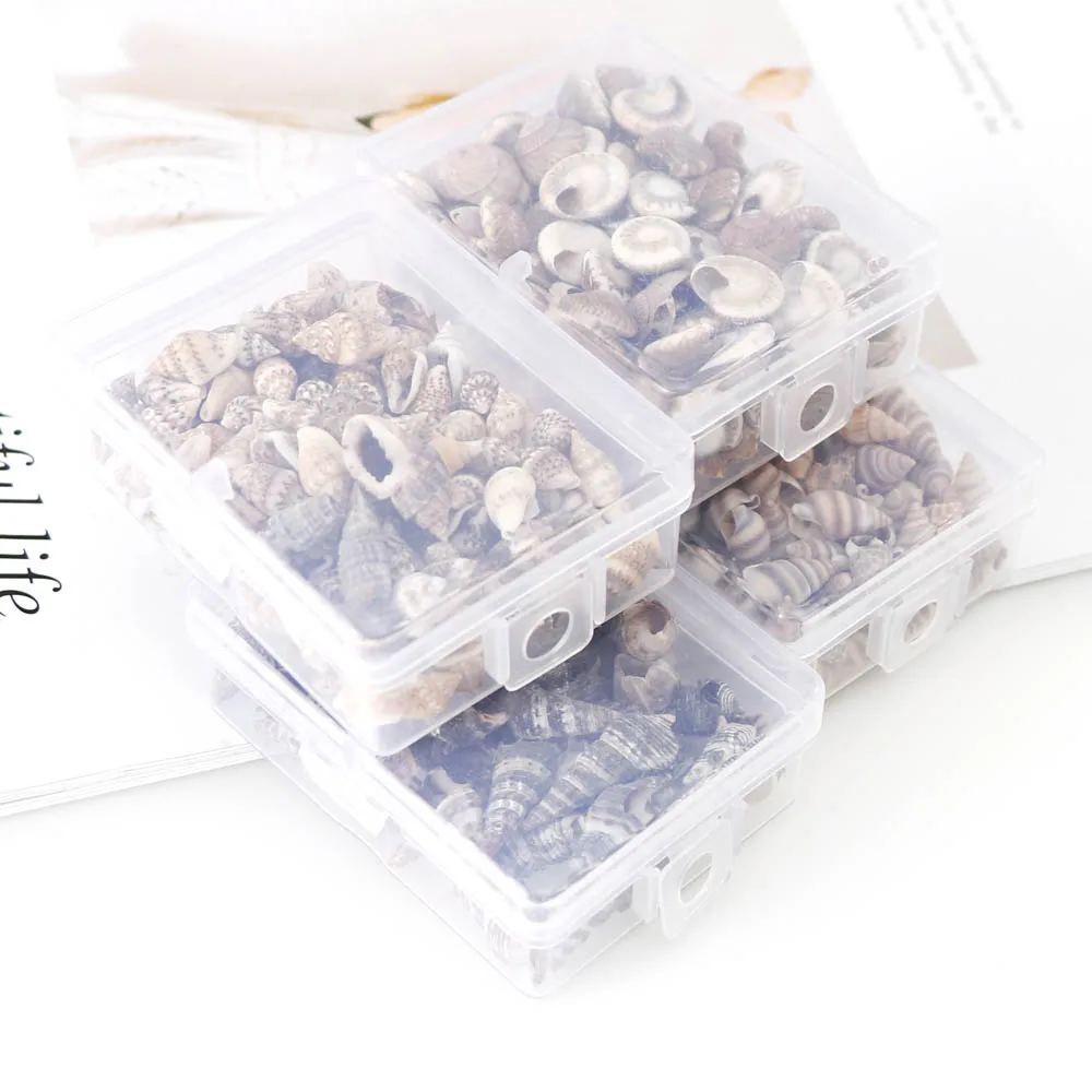 1 Box Pattern 4 Styles Nature Beach Fashion Sea Shells For DIY Caft Decor Jewelery Craft Accessories Holes Shell Decoration