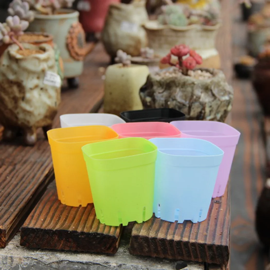 

6pesos Flower pot For Cactus And Succulents Plants pot Home gardening Home decoration Plastic Colored Mini