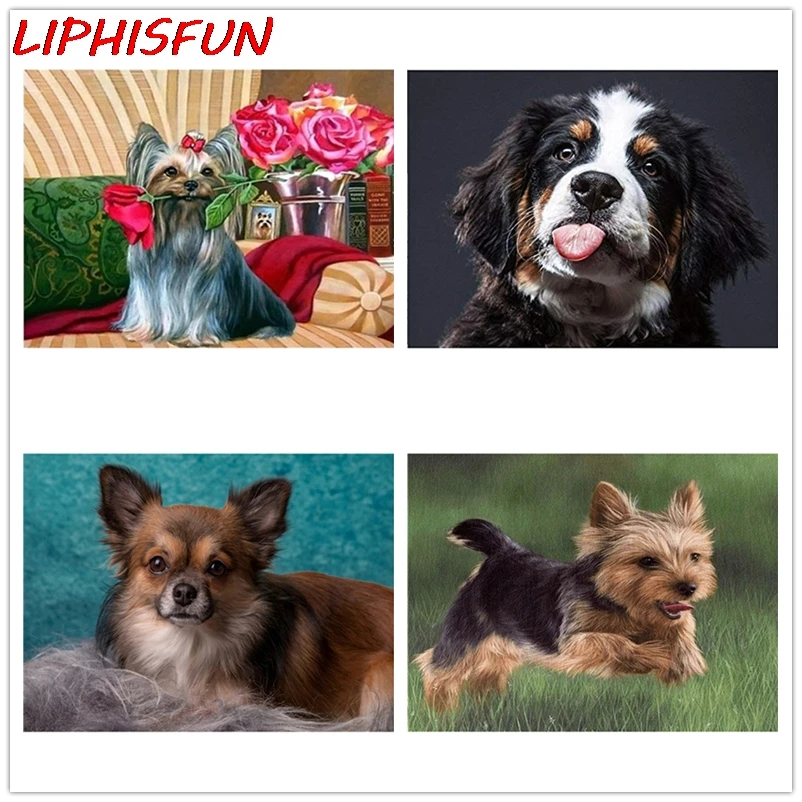 LIPHISFUN полная дрель 5D DIY Алмазная вышивка собака Йоркширский терьер картина