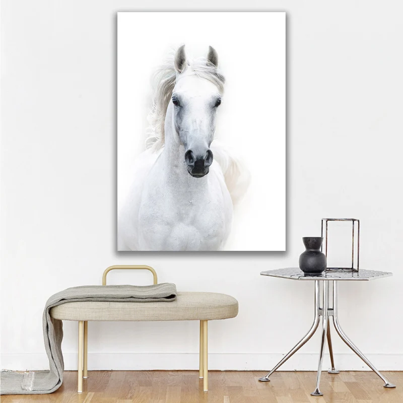 

Modern Animal White Horse Wall Art Canvas Posters and Prints Painting Wall Art Picture for Living Room Home Decor