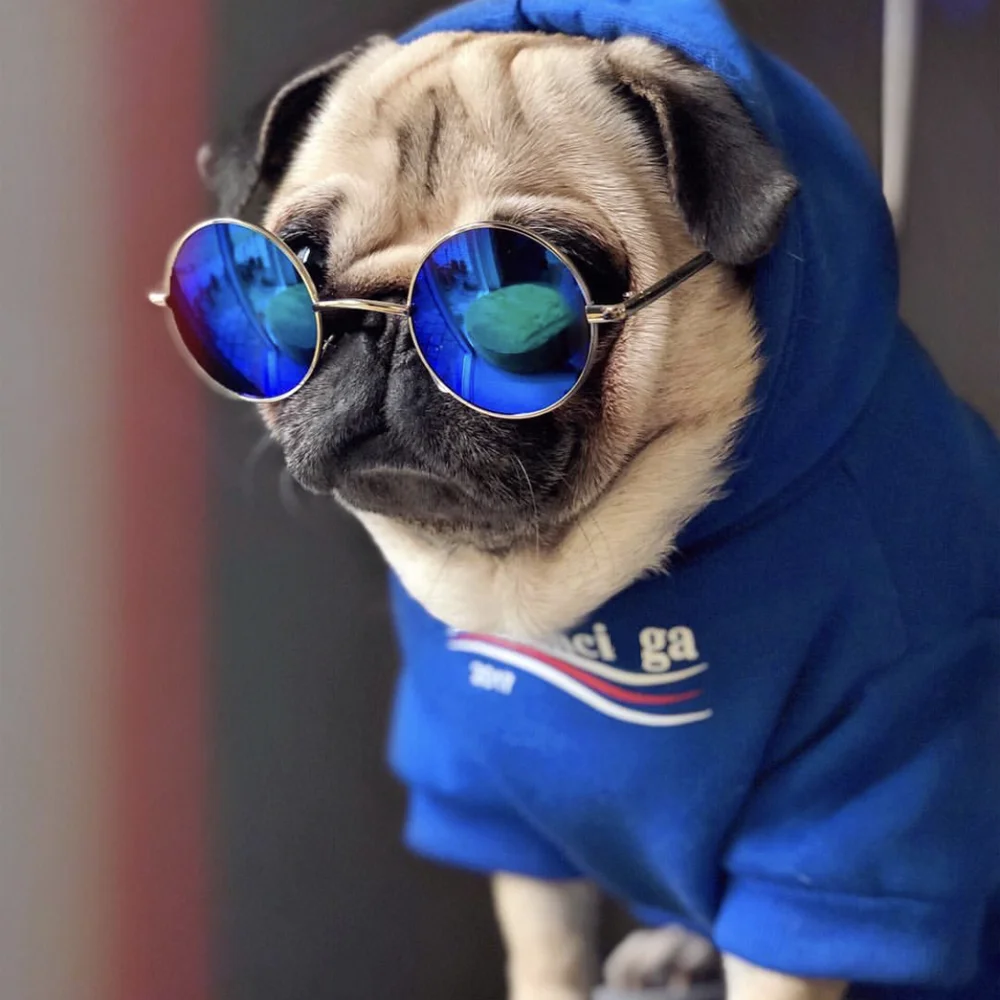 

Французский одежда для бульдога Толстовка для собак, Adidog, теплая спортивная ретро одежда для щенков для собак Толстовка с капюшоном Домашни...