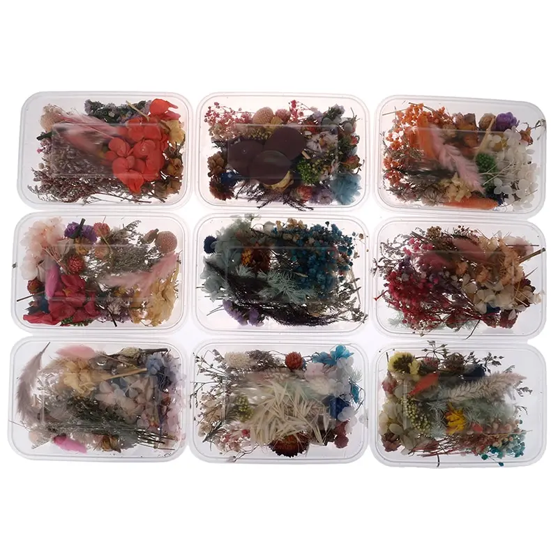 

1 Box Real Dried Flower Dry Plant Home Aromatherapy Candle Resin Christmas Party Wedding Decoration Making Craft DIY Accessories