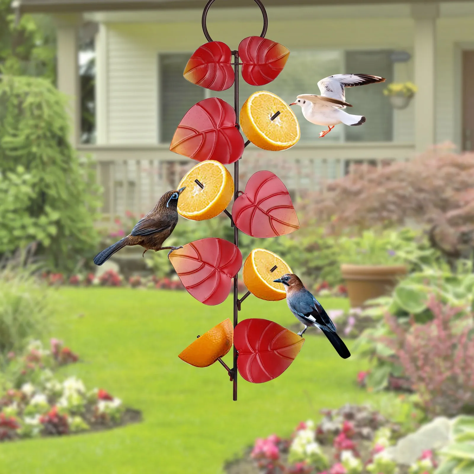 Комплект из 2 предметов маленькая птичка мандарины фрукты Фидер творчество мини