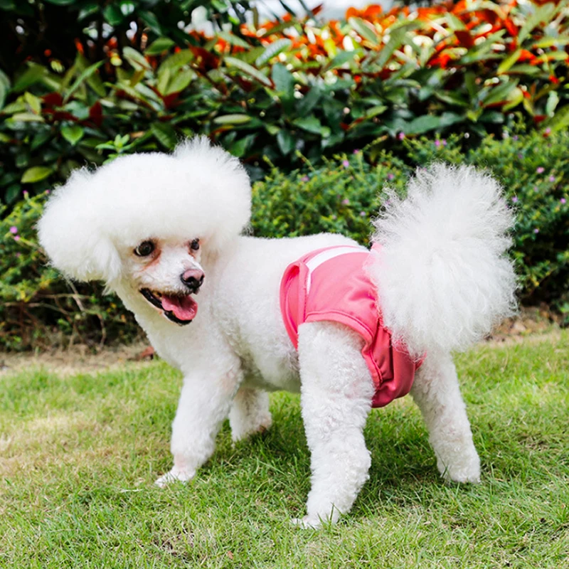 С защитой от преследования половая Трусы для собак гигиенические моющиеся