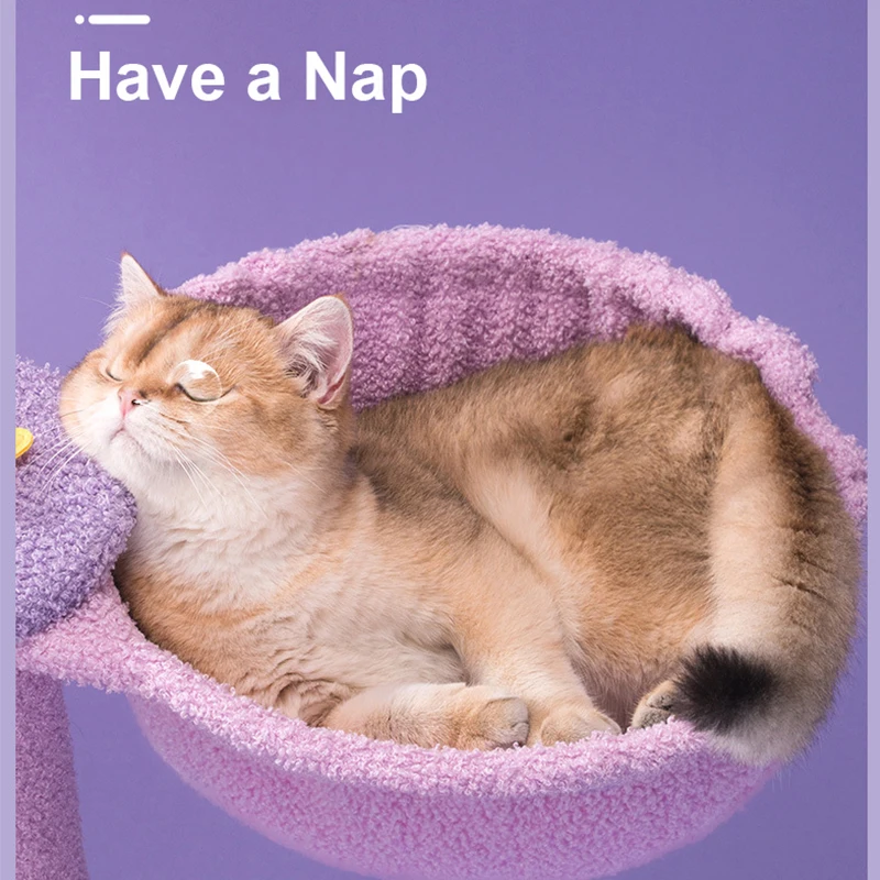 Бесплатная доставка фиолетовый домик для кошачьего дерева основы домика башня