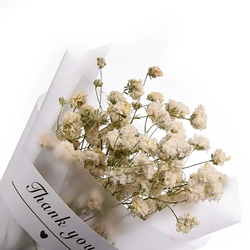 Простой Звездный сушеный цветок натуральный Гипсофила мини сушеные цветы сделай