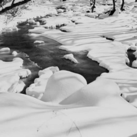 Брук покрытый снегом плакат печать (18x24)|Таблички и знаки| |
