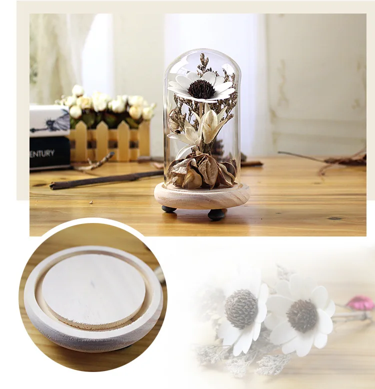 Оригинальный экологический микропейзаж сухое стекло для цветов Декор дома и