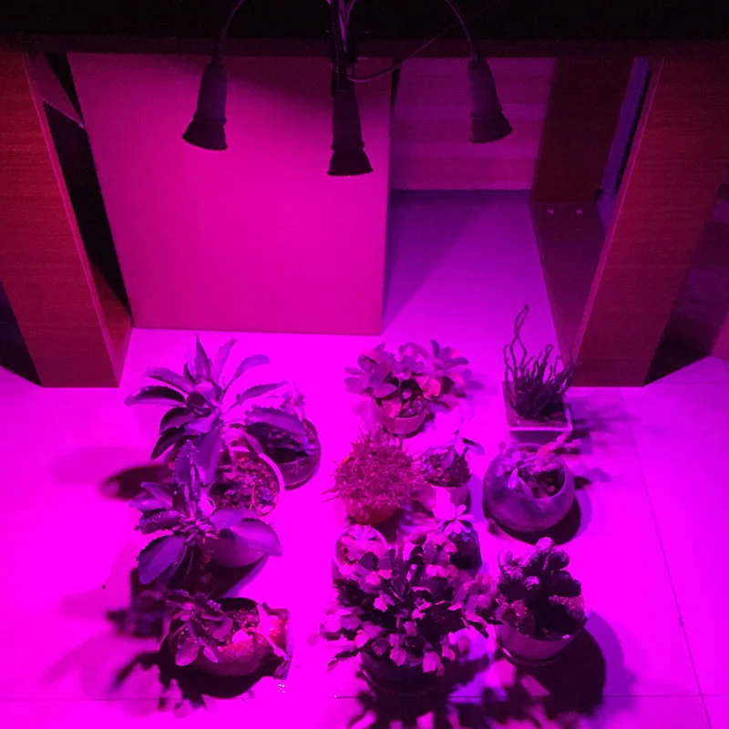 

Greenhouse LED Plant Grow 3-Head Flower growbox Growth Lamps For Indoor Hydro Growing Bulbs EU US Plug Holder Clip planter