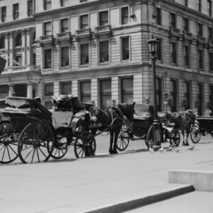 США Нью Йорк лошадь багги на Fifth Avenue и 59th Street плакат печать (18x24)| |
