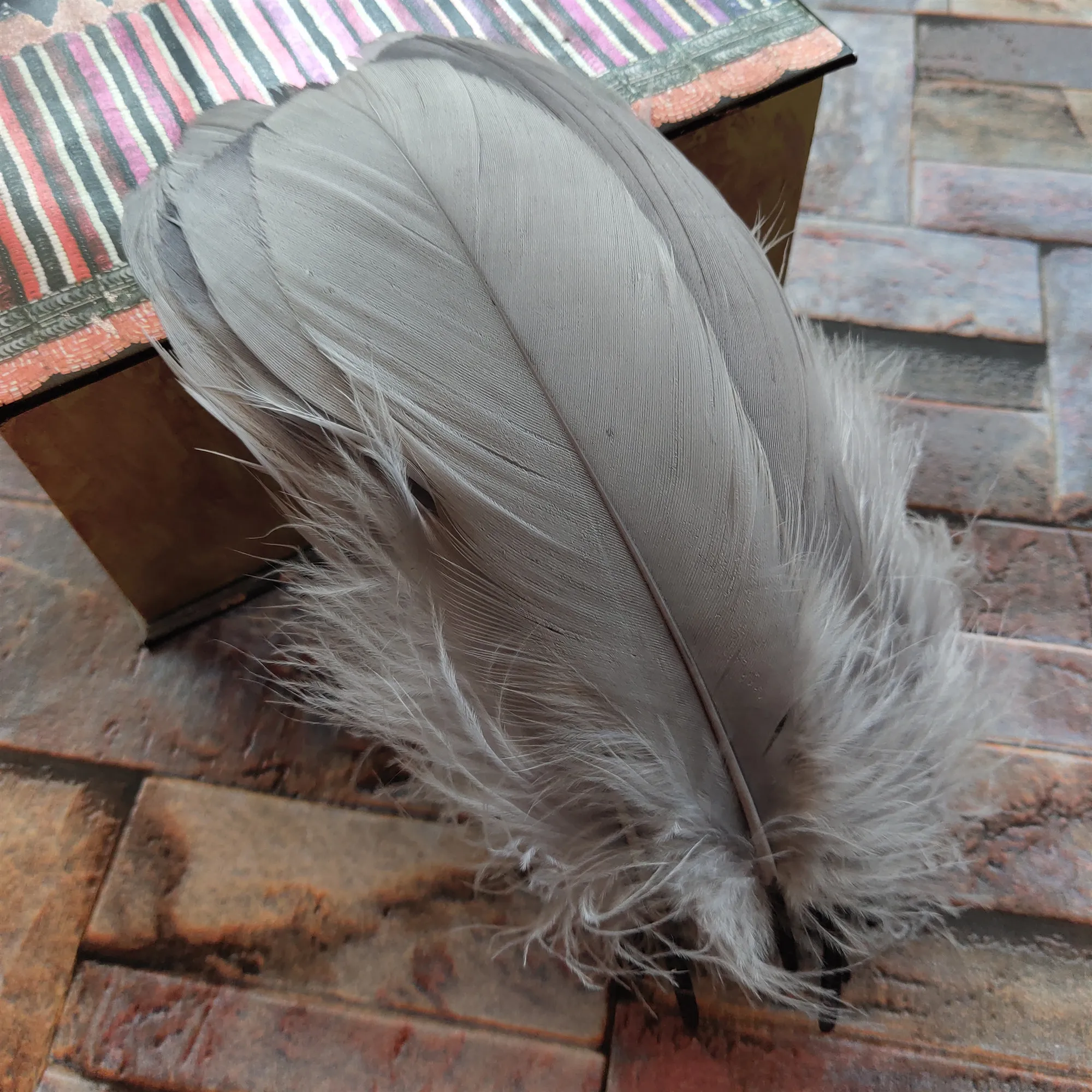 100 шт. серые натуральные гусиные перья 12 20 см|goose feathers|gray feathersnatural feathers |