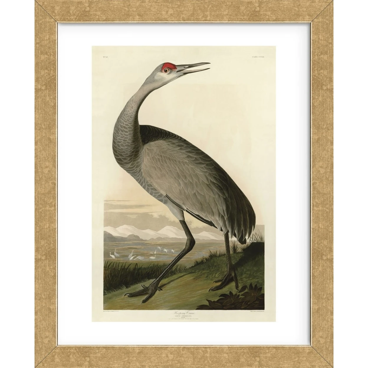 Hooping Crane (Framed) | Дом и сад