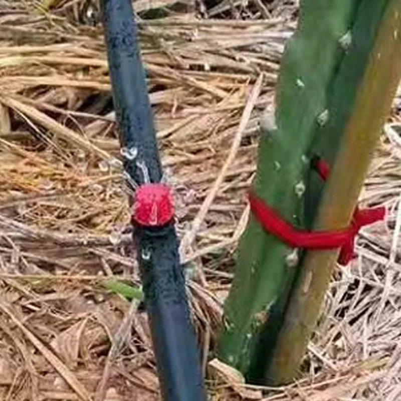 10 м DIY микро капельного орошения система автоматический таймер Self завод шланг для