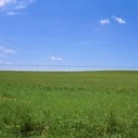 Ограждение из колючей проволоки в поле Сан Рафаэль долина Аризона США плакат