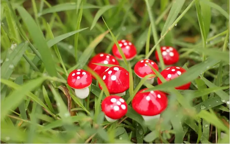 10 шт. 2 см Искусственный Красный Мини грибы миниатюры Цветущий сад Террариум с