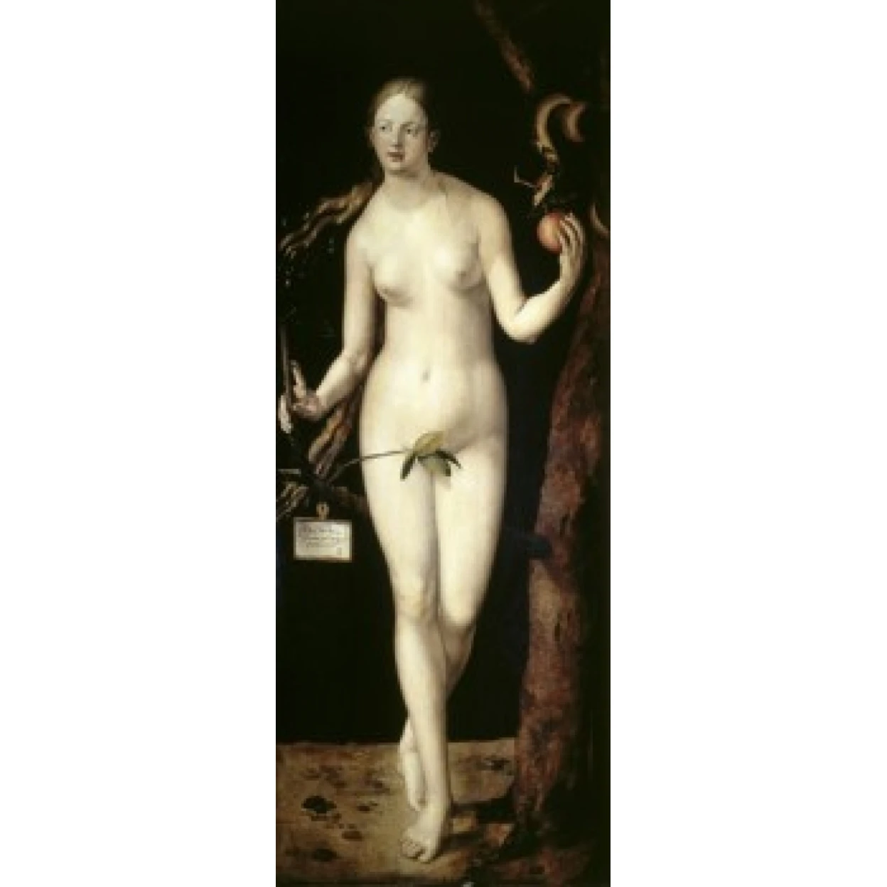 Eve 1507 масло на деревянной панели Albrecht Durer (1471-1528/german) Museo del Prado Madrid Poster Print (18x24) | Дом и