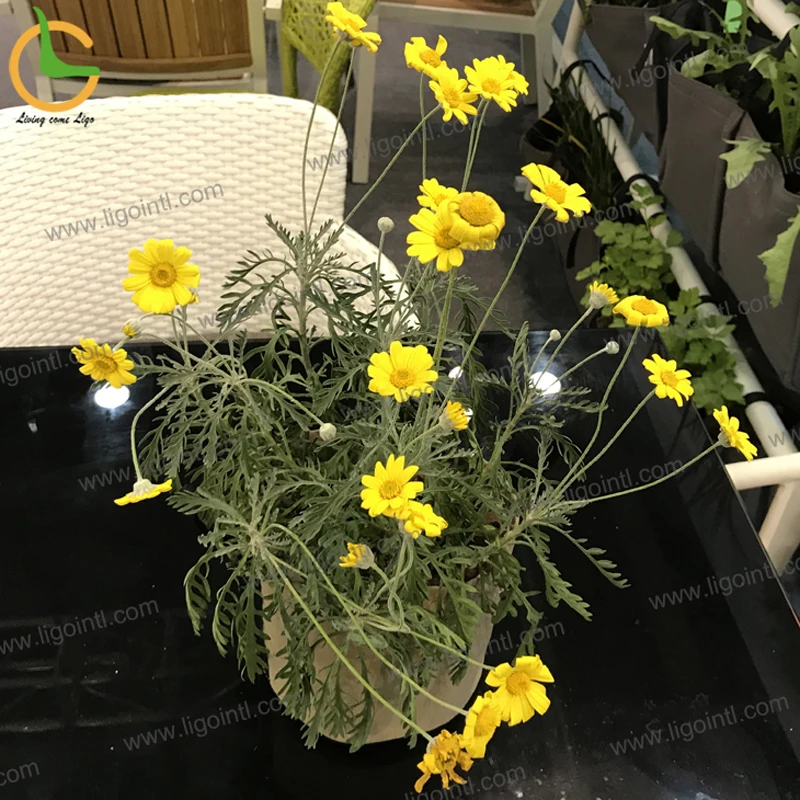 Цена по прейскуранту завода Новый дизайн дешево Детский сад DIY круглый ткань