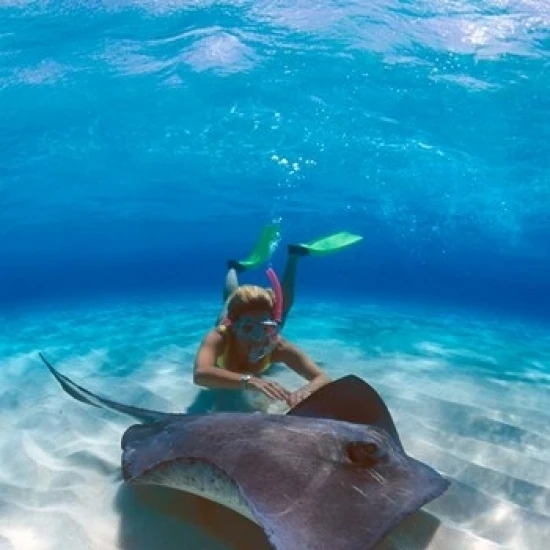 Stingray City Большой Кайман Каймановы острова Карибский плакат печать Грег Джонстон