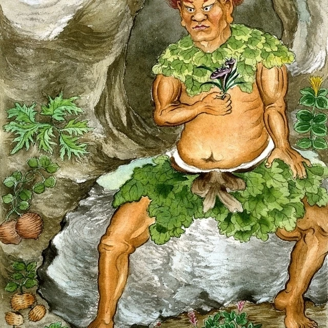 Shennong китайский божество медицины плакат печать по науке источник (24x36) | Дом и сад