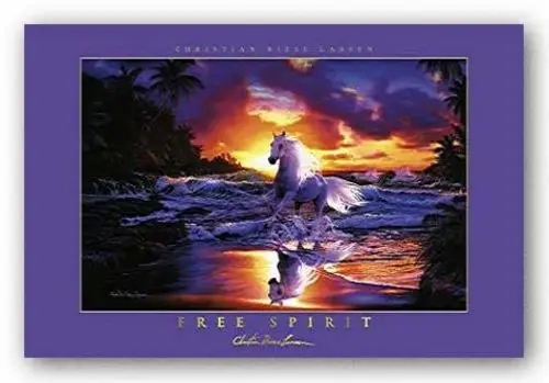 Плакат с художественным принтом Free Spirit 28 &quotx 18 25&quot|Таблички и знаки| |