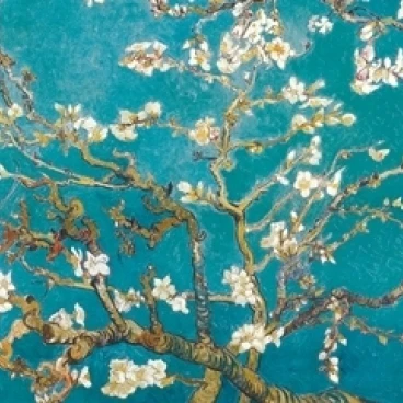 V. Van Gough Almond ламинированный плакат (24X36) | Дом и сад