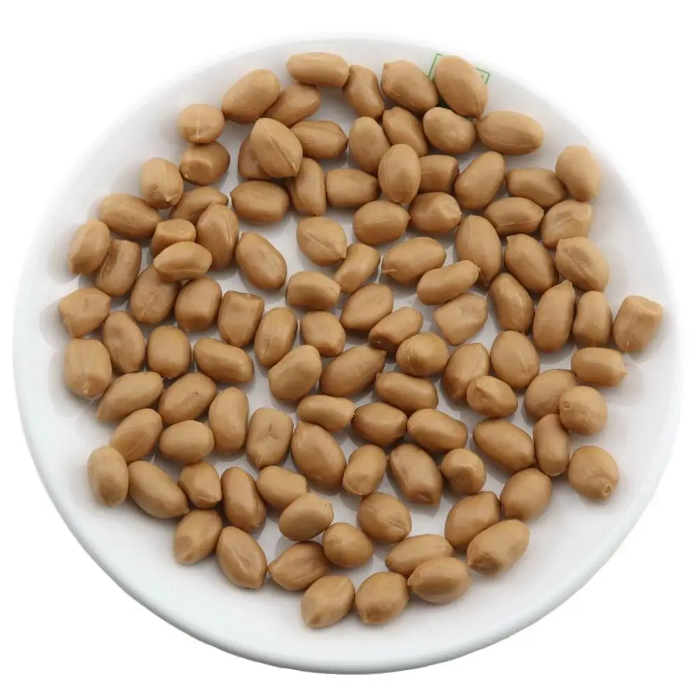 100 шт. декоративные искусственные орехи для фруктов дома | Дом и сад