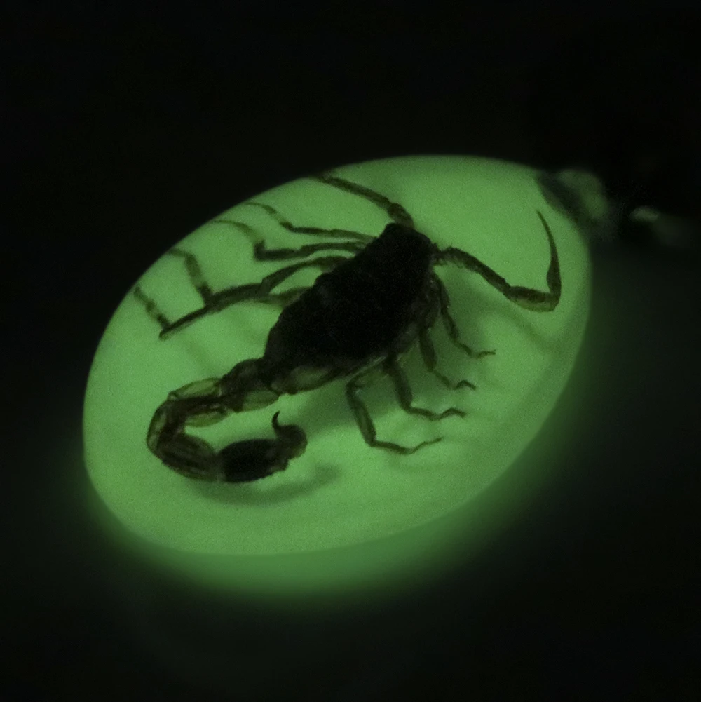 

Фосфоресцирующий автомобильный брелок LEEPEE, необычный брелок, брелок для сумки, кошелька, брелок с подвеской в виде скорпиона, янтарного цвета