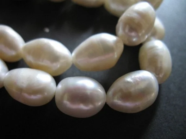 

Fashion Jewelry