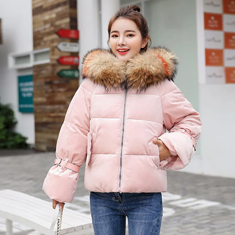 

Woman Short Fund 2019 Winter New Thickening Cotton-padded Clothes Heavy Lead Small Lovely Keep Warm Loose Coat Tide