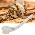 Пчелиная трубка, устройство для защиты от птицеводства, отличное оборудование для пчеловодства, 1 шт.
