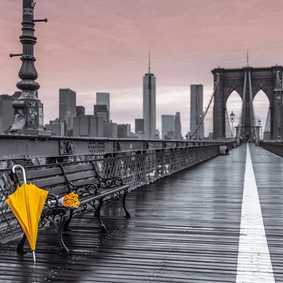 Assaf Frank Brooklyn Bridge Umbrella Poster Print (24 x 36) | Дом и сад