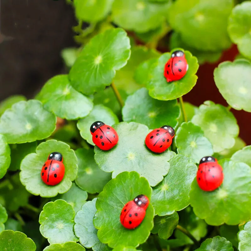 Леди Баг Смарт насекомые Beatle Фея Сад Miniatures гномический Террариум настольная