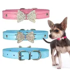 Ошейник для маленьких собак, кожаный ошейник для кошек, свинцовый ошейник для щенков, ошейник для чихуахуа, Тедди, ошейник для собак и кошек