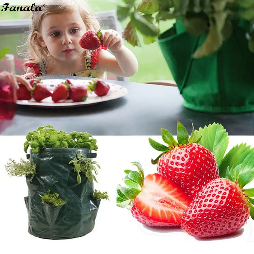 Клубника посадки мешок цветы овощи фрукты Расти Мешок цилиндр дома открытый | Дом