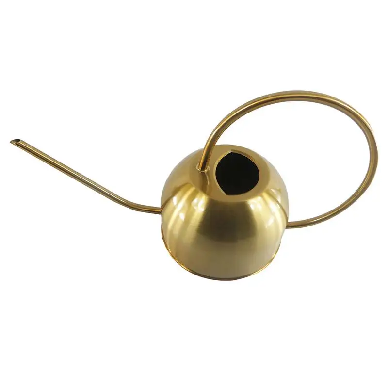 

1500ml Watering Can For Indoor Garden House Plants Long Spout Brushed Stainless Steel Watering Pot Watering Device